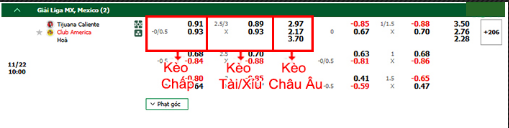 Dự đoán kèo chấp