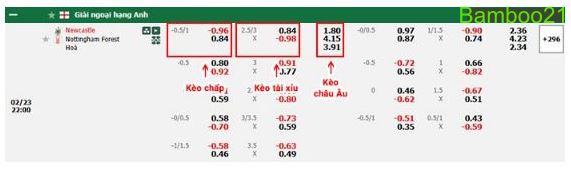 Kèo Tài Xỉu: 2.5/3 quả